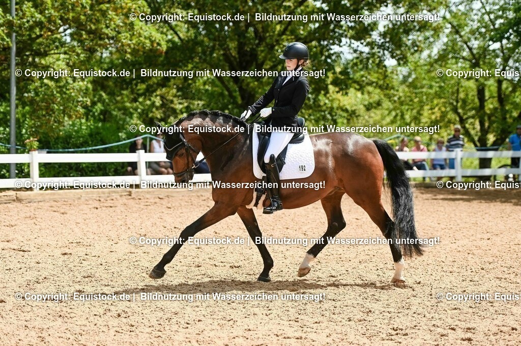 20230716_03_Dressurprfg. Kl.L - Tr._0445 | equistock