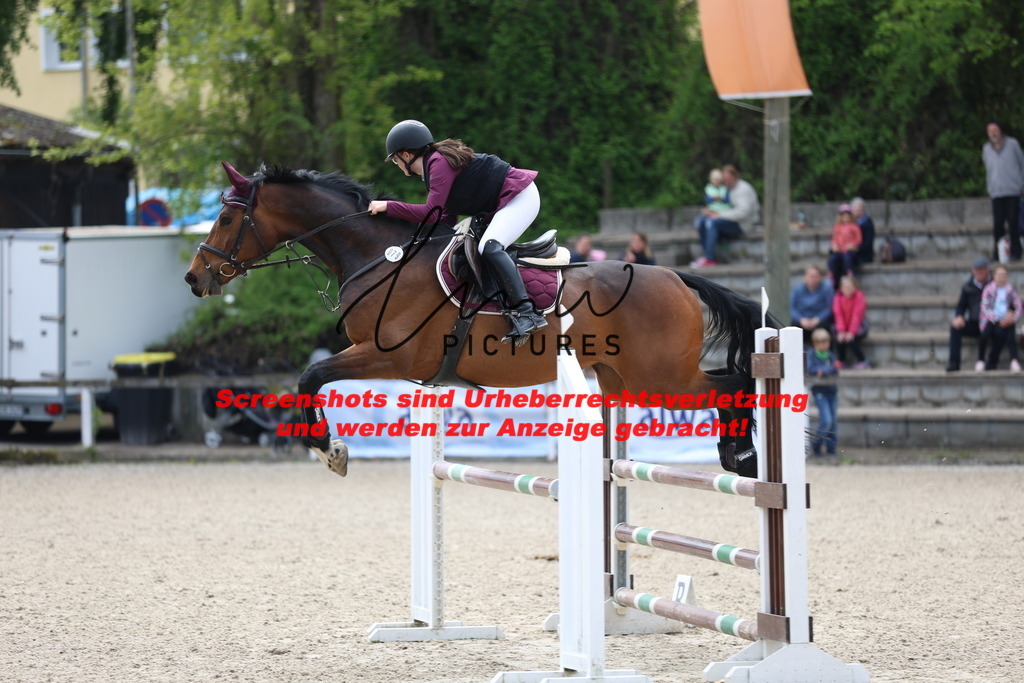 A40A2390 | lmwpictures - Realisiert mit Pictrs.com