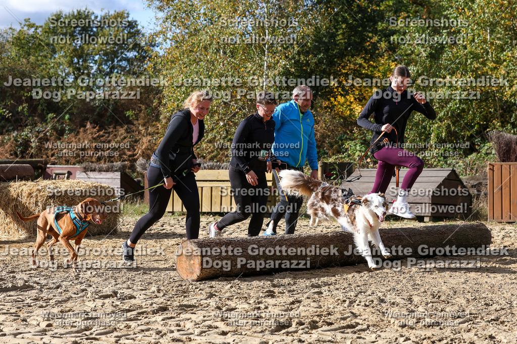 Dog Paparazzi - Strongdog 10-25-5659 | Dog Paparazzi Jeanette Grottendiek Fotografie & Videografie - Realisiert mit Pictrs.com