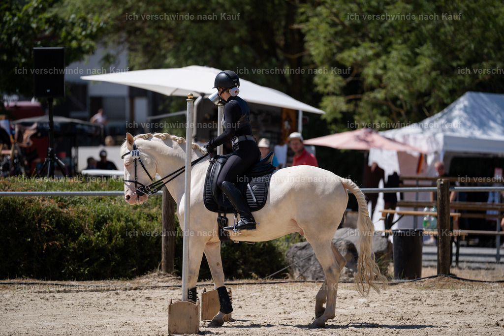 WM_SP_75_Stoibphotography_SO17643 | working equitationturnier fotograf videograf stoibphotography marixx film working equitation deutschland reitsport turnierfotografie eventfotografie equestrian events