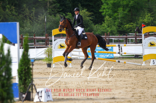 DKP42170 | Turniersportfotografie; Pferdefotografie; Dressurfotografie