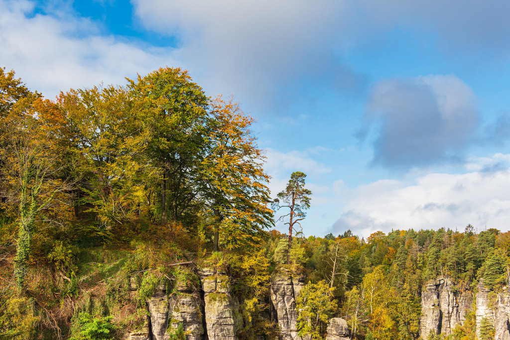 Blick auf Felsen und Bäume in der Sächsische Schweiz | Blick auf Felsen und Bäume in der Sächsische Schweiz.