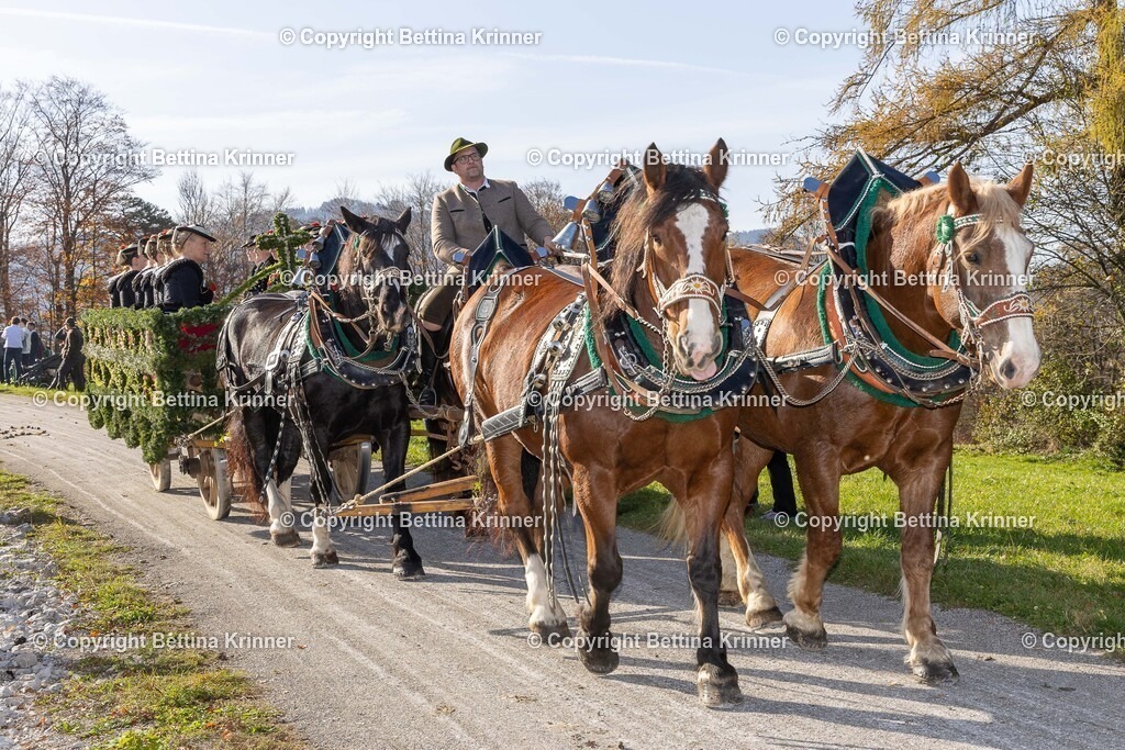 LBT24-1307 | foto-bettina-krinner - Realisiert mit Pictrs.com