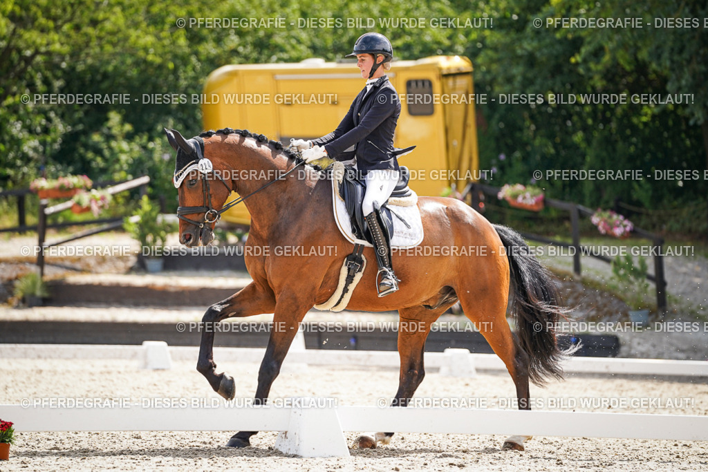 DSC09132 | Pferdegrafie