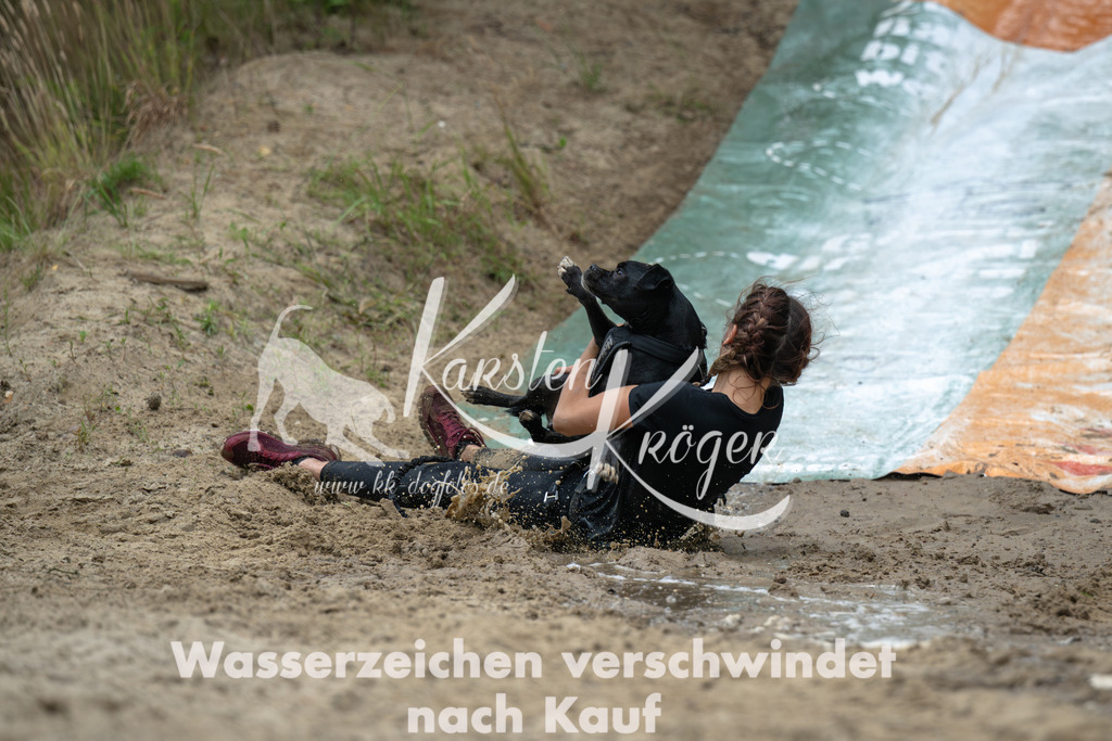 0951_ZZ91252-Verbessert-RR | kk-dogfotos
