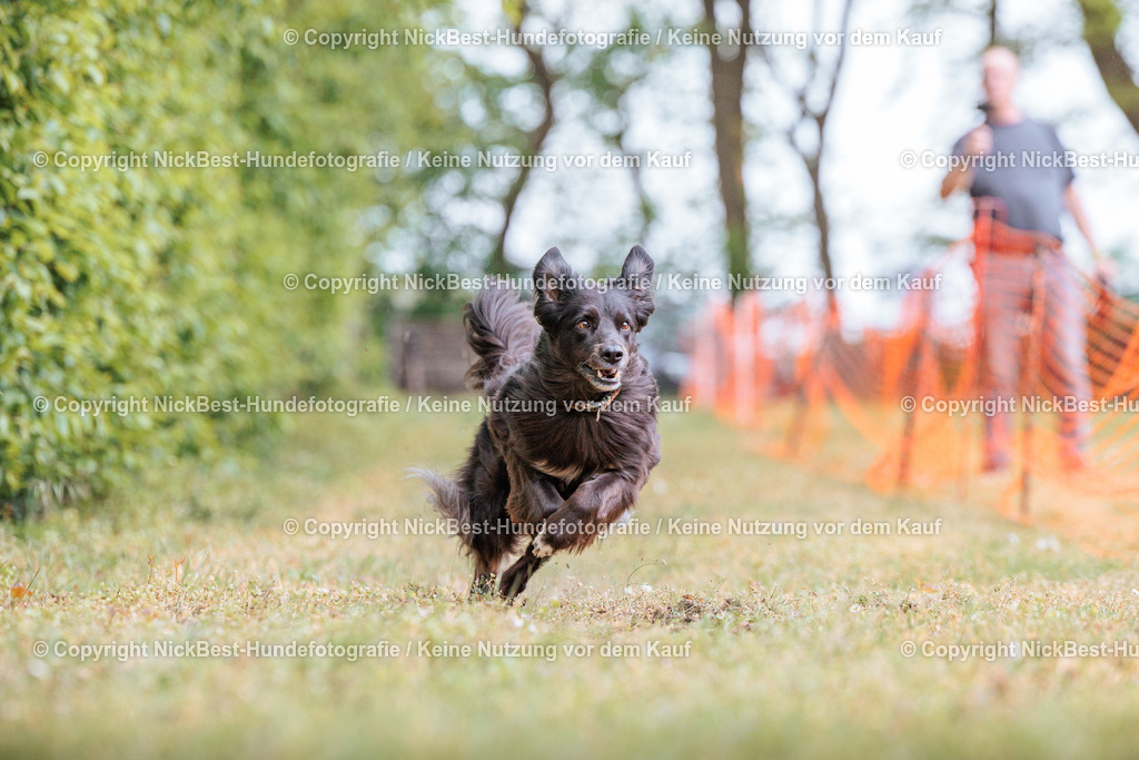 Sage Hunderennen Frühlingsfest-2026-Nickbest-Hundefotografie-0741 | Dein Hund! Dein Moment! Deine Erinnerungen! Hundefotografie in Bremen Blumenthal. Ich fange die besonderen Momente deines Vierbeiners ein – ob Indoor mit Blitzanlage oder in der freien Natur. Sicher dir dein Moment und dein Termin für eure Erinnerungen.