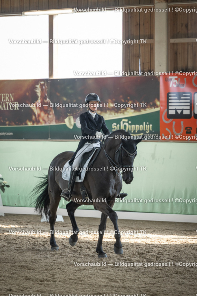 _D5A0367 | Emotionale Pferde- & People-Fotografie rund um Heidelberg, Leimen & Umgebung. Natürliche Fotos von Pferd, Mensch & Familie. Jetzt Termin sichern!