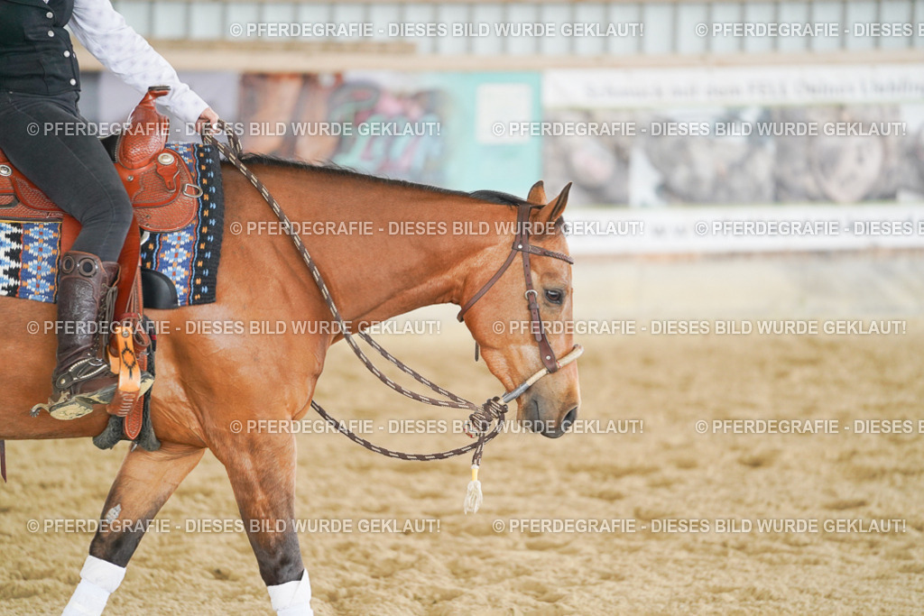 DSC04975 | Pferdegrafie