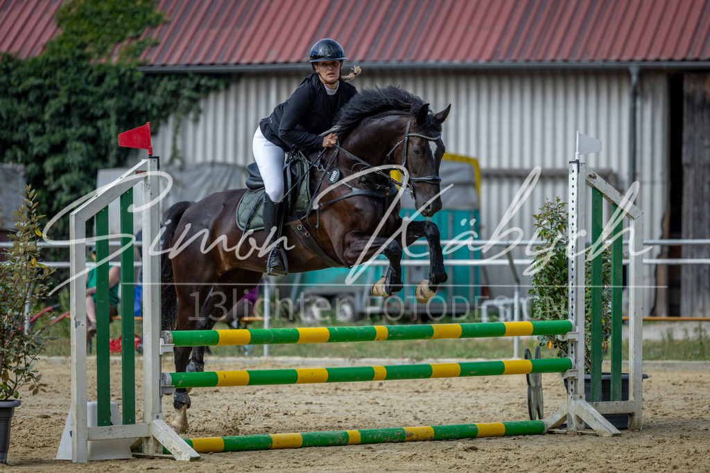 20260704-_3LI6872 | Tierfotografie Pferde, Hunde, Katzen, Haustiere.
Turnierfotografie Reitturniere, Reiten, Springreiten, Dressur in Hanau, dem Main-Kinzig-Kreis und dem Rhein-Main- Gebiet um Frankfurt