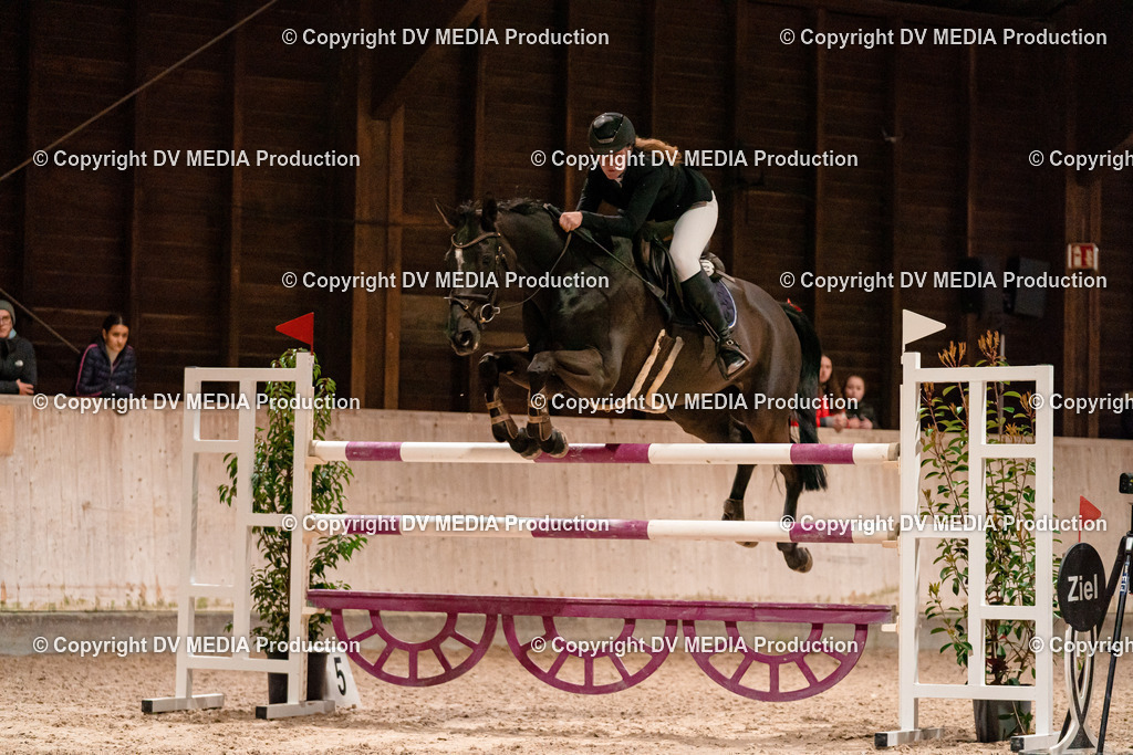 Springen Tag 2-887 | dv-media-shop - Realisiert mit Pictrs.com