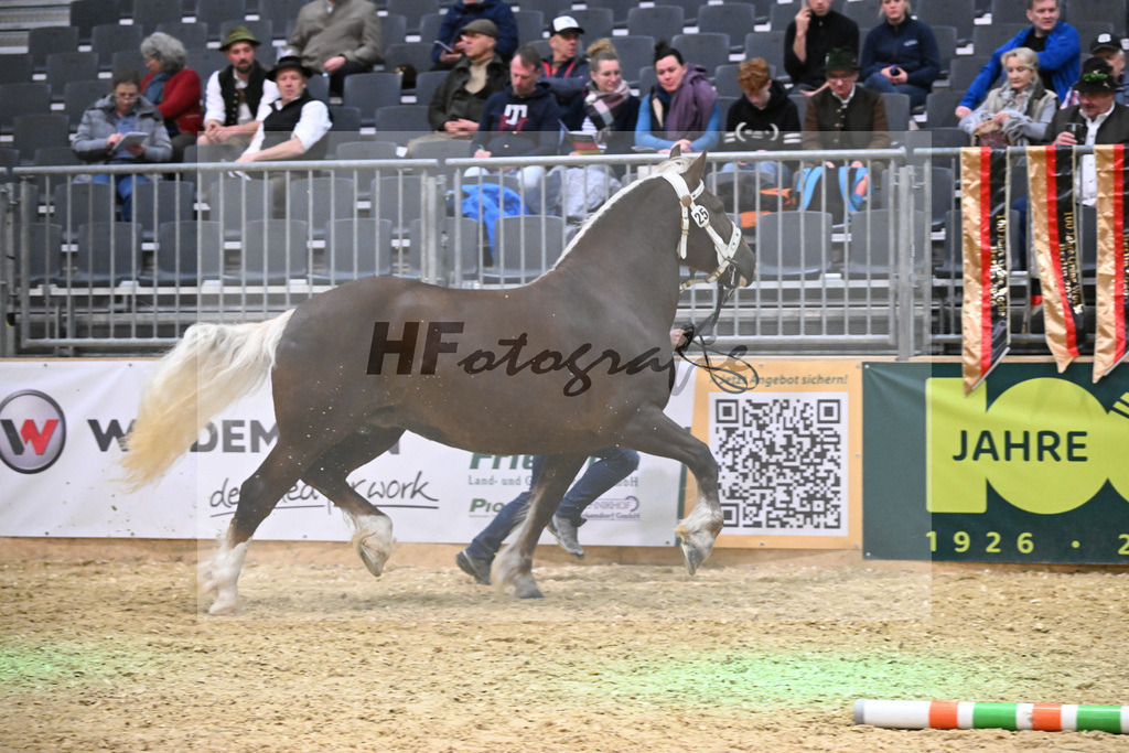Kat-Nr. 25 Hakira v. Sambuca_Scholz_1260369 | hf-fotografie - Realisiert mit Pictrs.com
