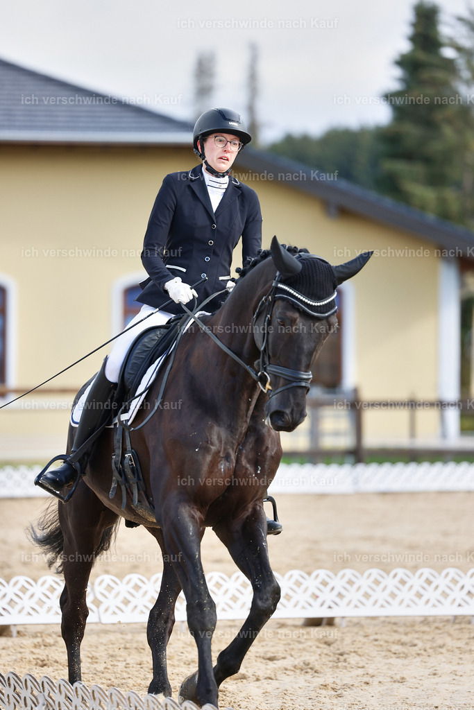 02-108-DRESSUR L_  -StoibPH-4741 | working equitationturnier fotograf videograf stoibphotography marixx film working equitation deutschland reitsport turnierfotografie eventfotografie equestrian events