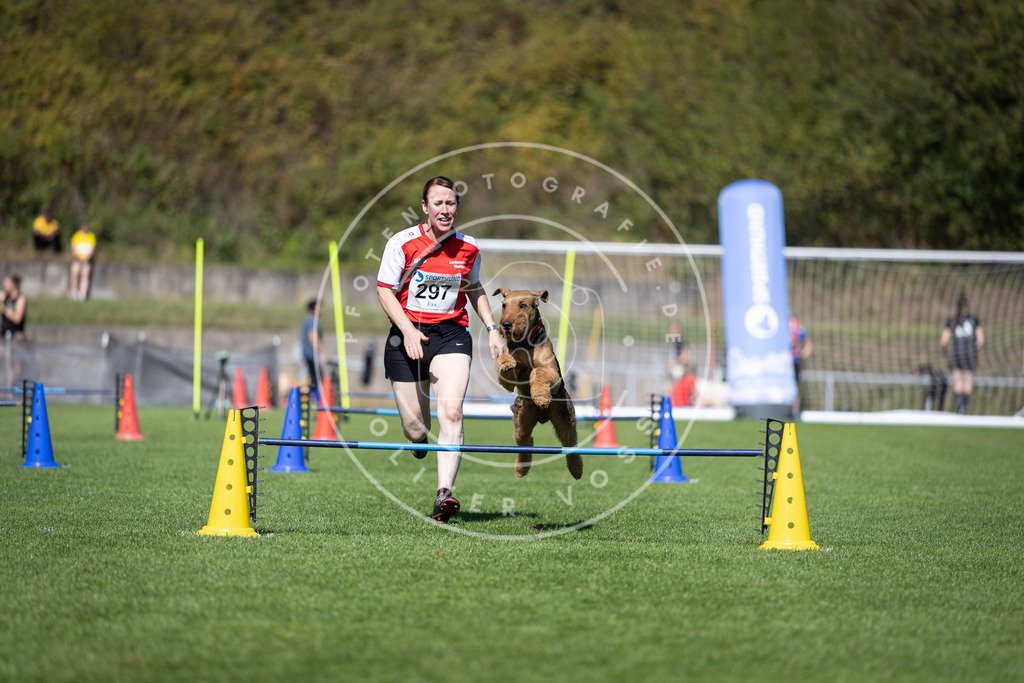Pfotenfotografie_DV3A7652 | Hundefotografie, Tierfotograf, Pfotenfotografie, Fotoshooting Hund, Hunde Portrait, Hundesport, Hundeportraits, Heideshooting, Hunde, Sportfotograf, Hundefotograf, Turnierhundsport, THS,  - Realisiert mit Pictrs.com
