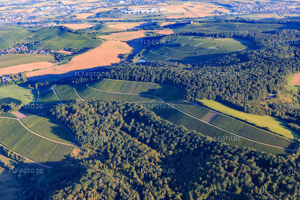 Weinberge und Wald | Luftbild: Weinberge und Wald im Ortsteil Schmidhausen in Beilstein im Bundesland Baden-Württemberg in Deutschland. Foto: IMG_093761.jpg vom 23.08.2016 durch Werner Riehm/FLY-FOTO.de - Realisiert mit Pictrs.com