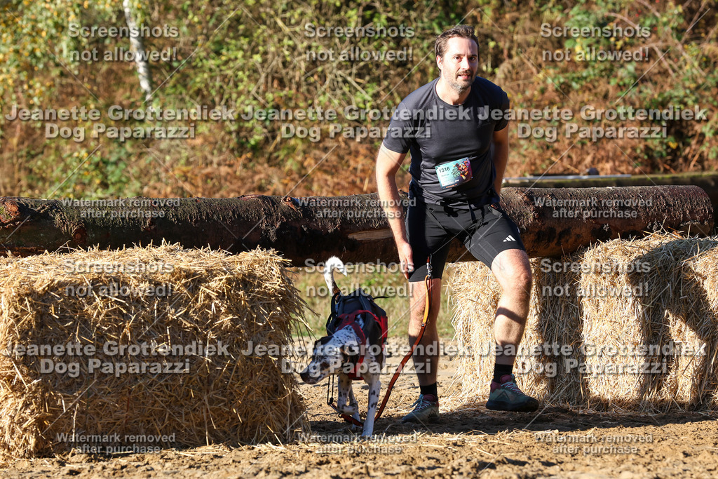 Dog Paparazzi - Strongdog 10-25-1272 | Dog Paparazzi Jeanette Grottendiek Fotografie & Videografie - Realisiert mit Pictrs.com