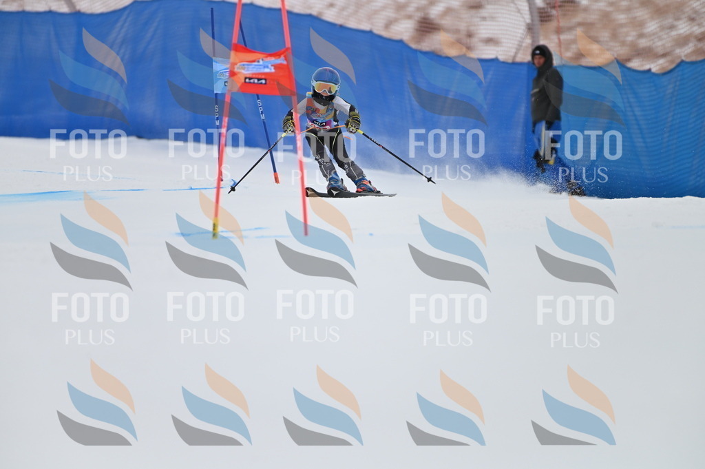 BGV_1865 | holidayphoto