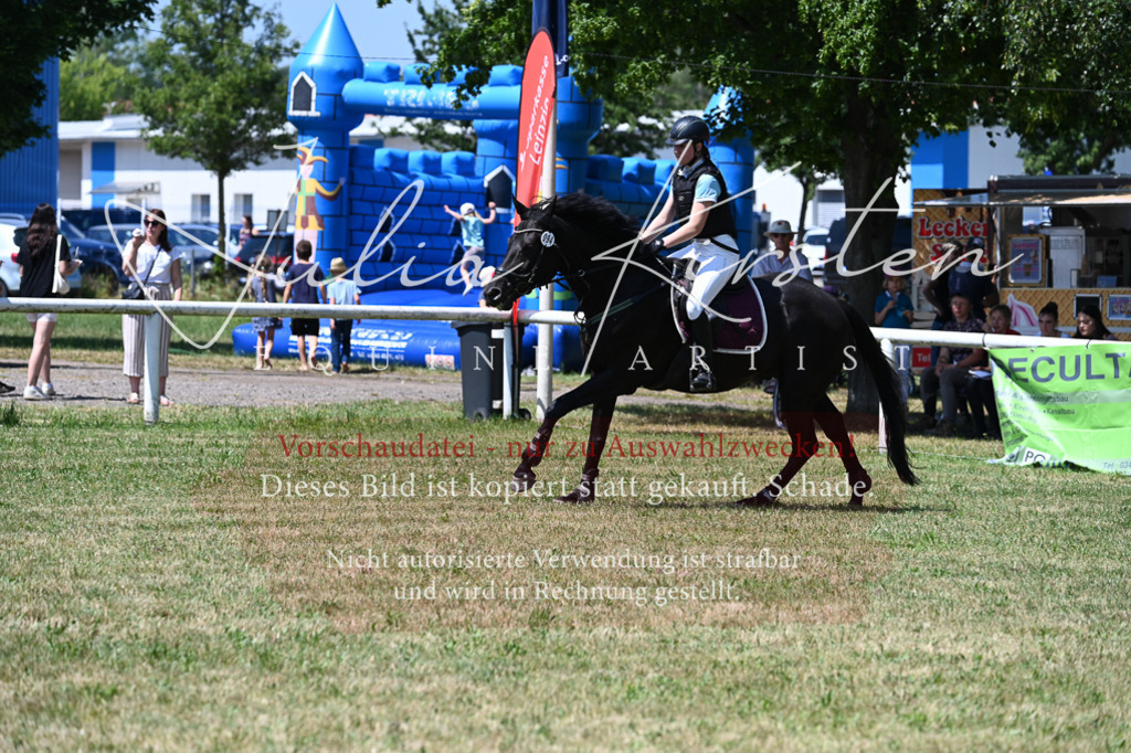 DSC_0714 | Pferde- und Turnierfotografie in Westsachsen. Pferdeportraits, Auftragszeichnungen und intuitive Kunst.