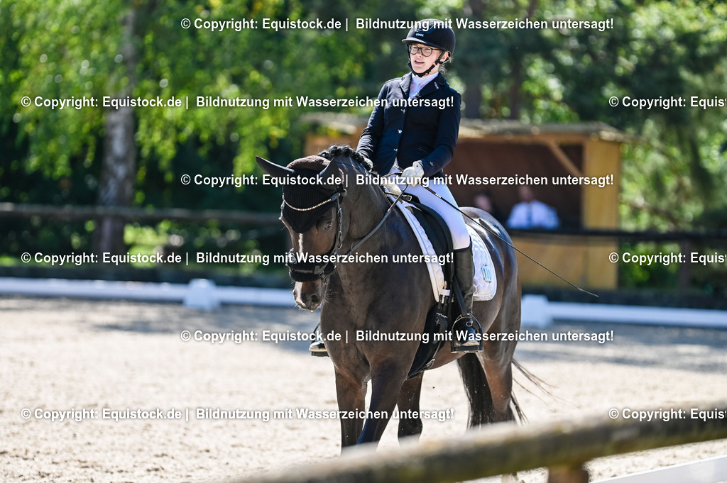 20230908_06_Dressur-L-Trense_0557 | equistock