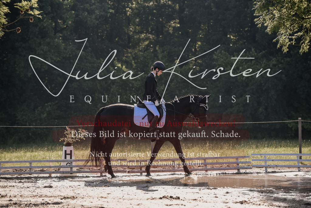 DSC_7769 | Pferde- und Turnierfotografie in Westsachsen. Pferdeportraits, Auftragszeichnungen und intuitive Kunst.