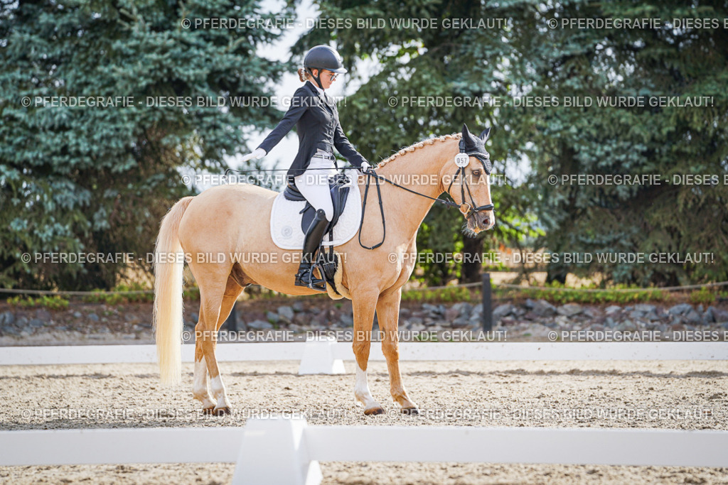 DSC00834 | Pferdegrafie