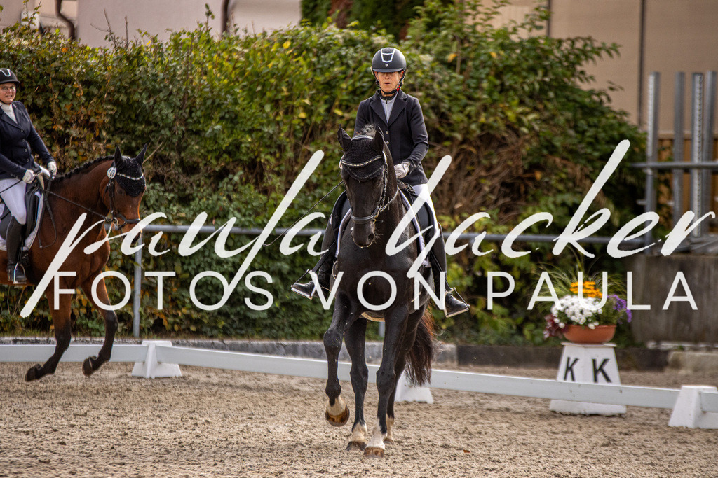 IMG_3176 | Erleben Sie dynamische Sport- und emotionale Tierfotografie in Süddeutschland mit Fotos von Paula. Spezialisiert auf Pferde- und Hundefotografie sowie Sportevents. Kontaktieren Sie mich für einzigartige und ausdrucksstarke Bilder Ihrer besonderen Momente.