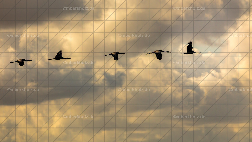 _MGL0798-Bearbeitet | Bildkunst Warnemünde, Fotokunst Warnemünde, Fotostudio Rostock Warnemünde, Technologiecampus, Onlinedruckerei, Fotokunst Warnemünde, Ostseebad Warnemünde 