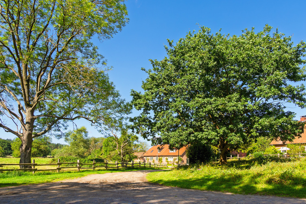 Haus mit Straße und Bäumen auf der Insel Kampenwerder im Schaalsee | Haus mit Straße und Bäumen auf der Insel Kampenwerder im Schaalsee.