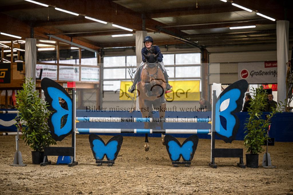 DOS_B1274 | Entdecke hochwertige Reitturnierfotos von Foto Oger. Professionell, emotional und authentisch – jetzt Lieblingsmomente im Shop bestellen.Deutschlandweite Turnierfotografie. - Realisiert mit Pictrs.com