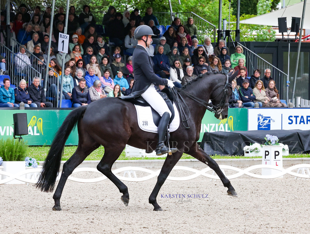 1B3A7800 | Reitsport Reiten