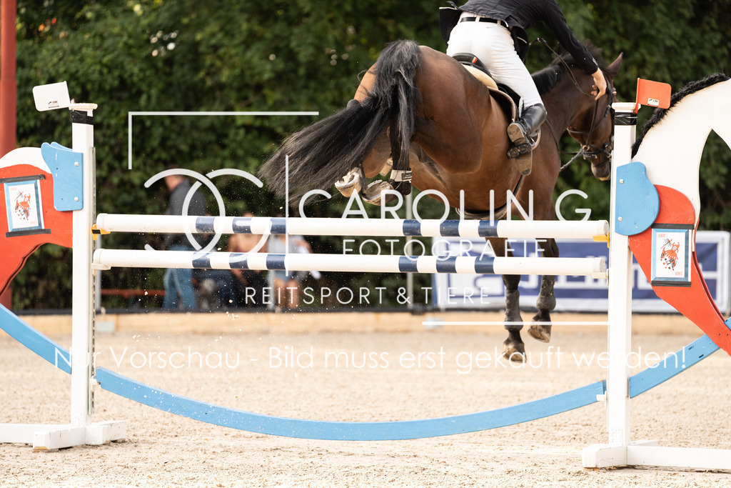 DSC02946 | Carolin Gieschke