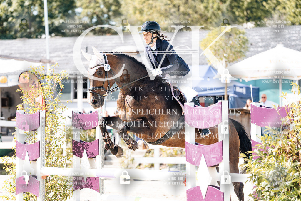 CK908164 | Turnierfotografie Pferdefotografie Trier Rheinland-Pfalz Pferdesport Reitsport Tierfotografie Sportfotografie Pferdevideo Pferdevideografie Equestrianvideography equestrianphotography  - Realisiert mit Pictrs.com