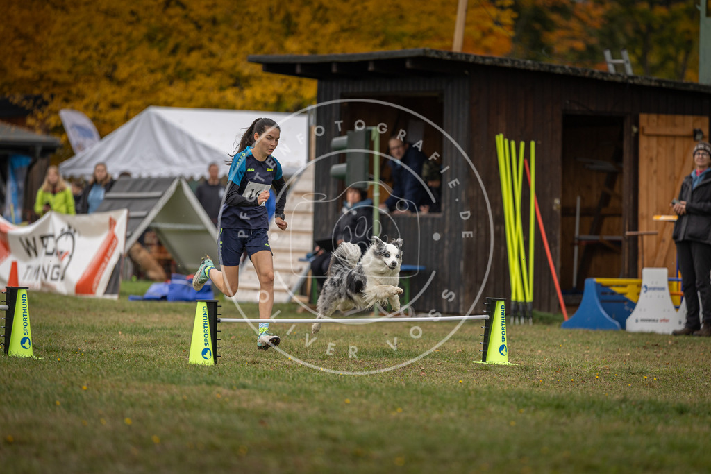 Pfotenfotografie_DV3A4934 | Hundefotografie, Tierfotograf, Pfotenfotografie, Fotoshooting Hund, Hunde Portrait, Hundesport, Hundeportraits, Heideshooting, Hunde, Sportfotograf, Hundefotograf, Turnierhundsport, THS,  - Realisiert mit Pictrs.com