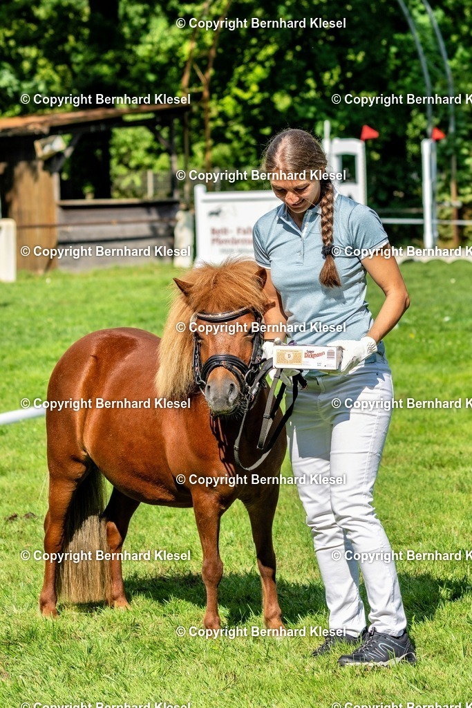 _DSC1709 | foto-team-bernhard - Realisiert mit Pictrs.com