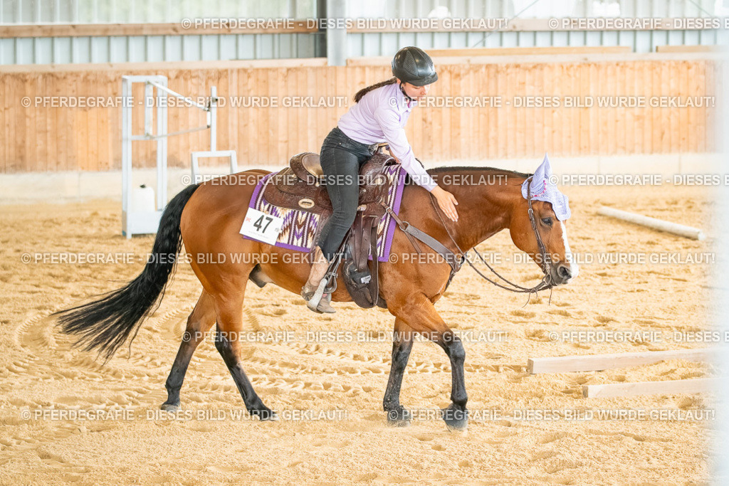 DSC07183 | Pferdegrafie