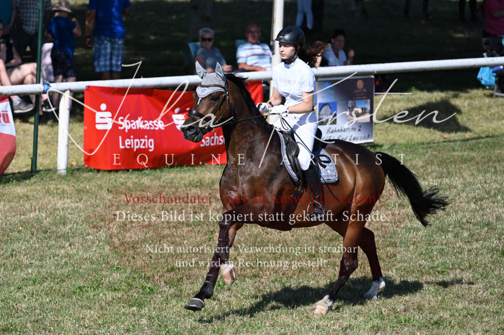 DSC_2068 | Pferde- und Turnierfotografie in Westsachsen. Pferdeportraits, Auftragszeichnungen und intuitive Kunst.