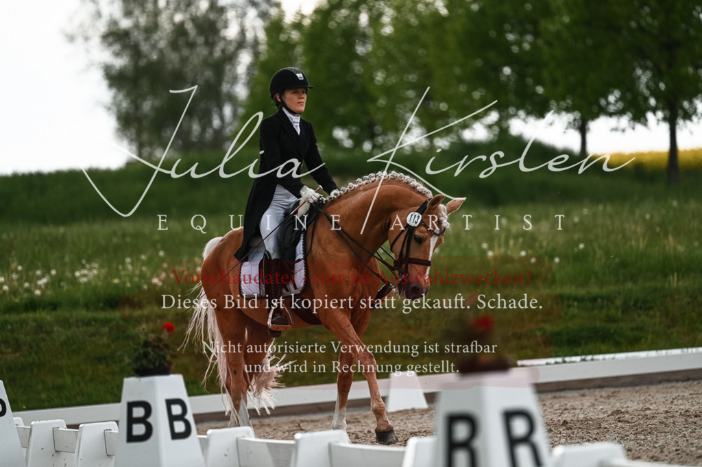 20230514_JK-Röhrsdorf-21-384 | Pferde- und Turnierfotografie in Westsachsen. Pferdeportraits, Auftragszeichnungen und intuitive Kunst.