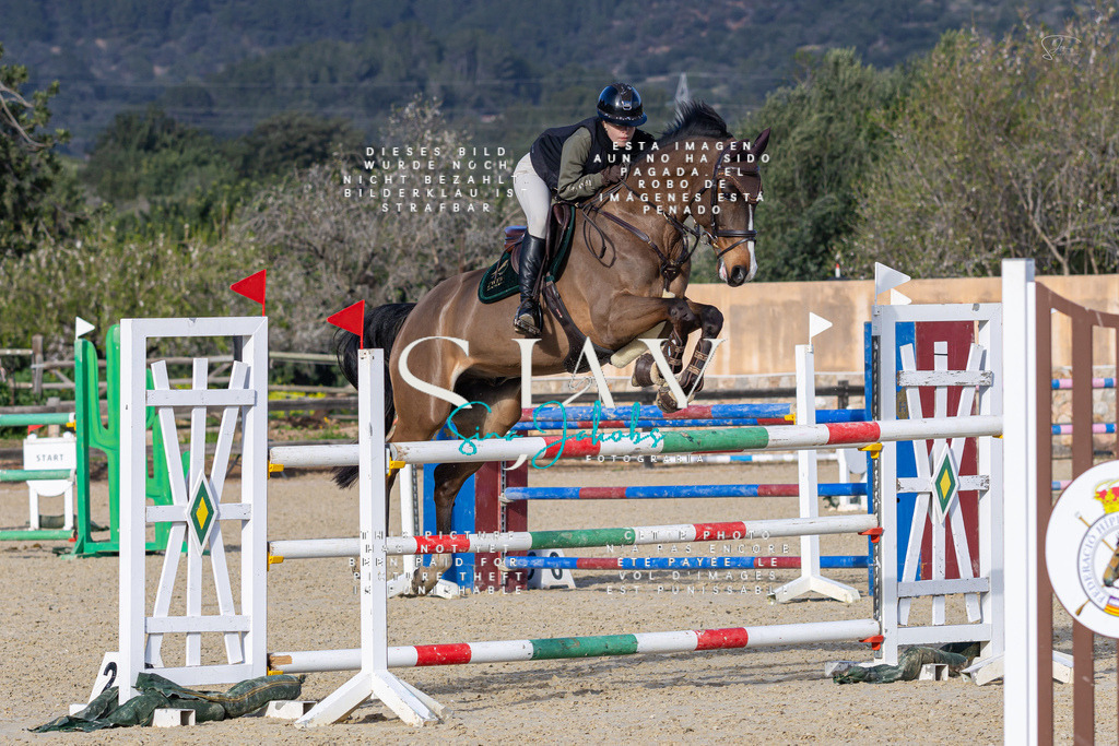 IMG_5786 | s-jay-photography - Realisiert mit Pictrs.com