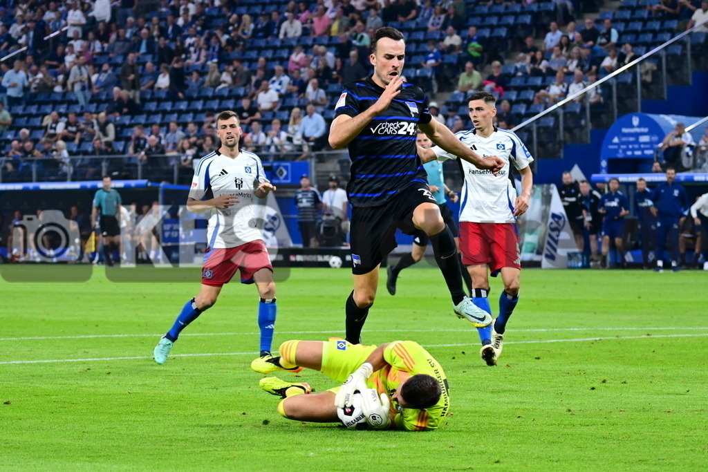KBS Picture_HSV-HerthaBSC_061 | v.v. Heuer Fernandes Daniel (HSV) , Tabakovic Haris (Hertha BSC) ,Sportplatz :  Volksparkstadion, - Realisiert mit Pictrs.com