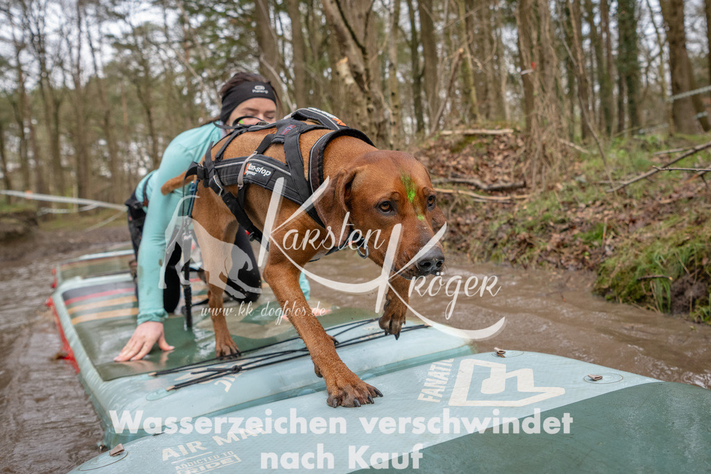1049_ZZ94702 | kk-dogfotos