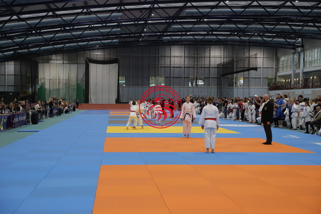 IMG_9091 | Fotos vom Adler Cup - Pictures from Adler Cup

Hier findet Ihr alle Eindrücke und großen Momente der Adler Cup Wochenenden. Here you will find all impressions and great moments of the Adler Cup weekends. - Realisiert mit Pictrs.com