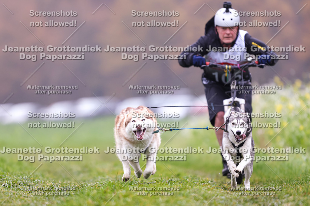 Dog Paparazzi - Visbeck 25 -118 | Dog Paparazzi Jeanette Grottendiek Fotografie & Videografie - Realisiert mit Pictrs.com