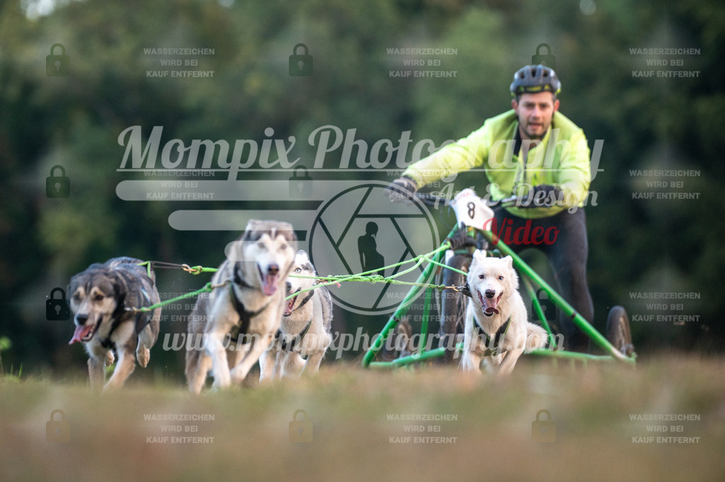 CDLBDB_15_10_2023_Dimanche-15 | PayLife