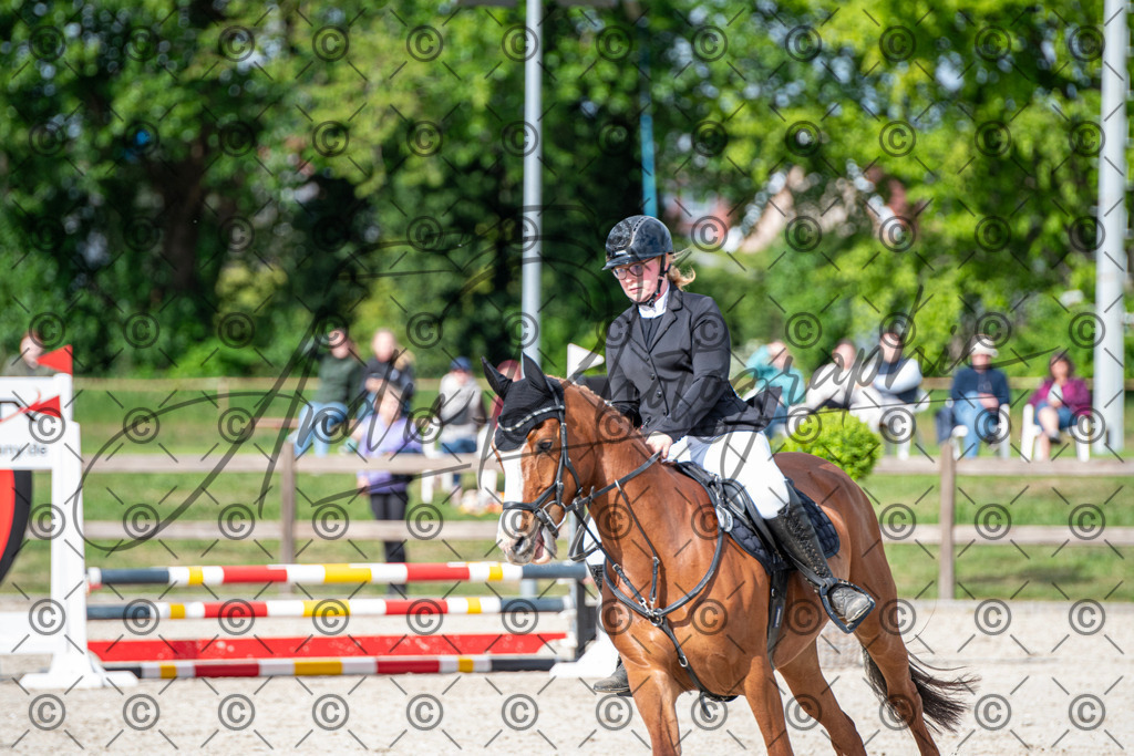 KPT_6565 | andre_photographic