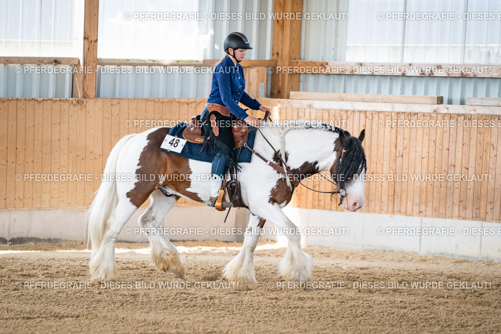 DSC02984 | Pferdegrafie