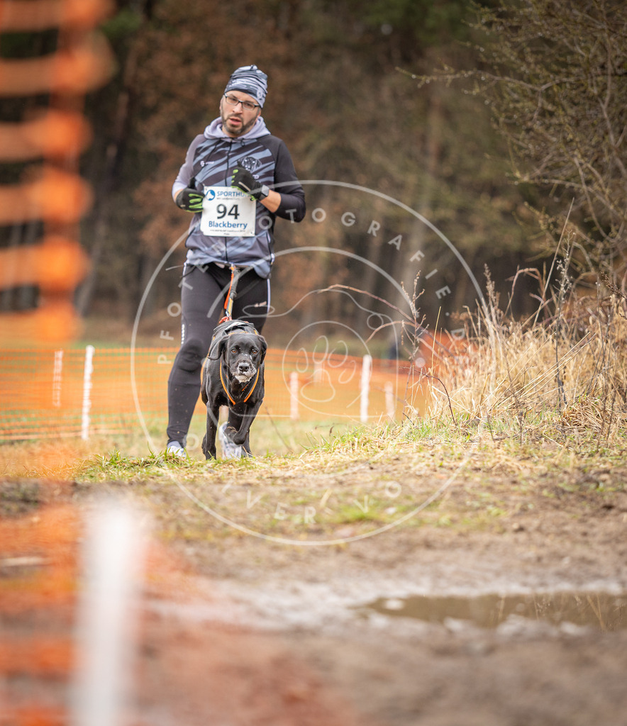 DV3A0501 | Hundefotografie, Tierfotograf, Pfotenfotografie, Fotoshooting Hund, Hunde Portrait, Hundesport, Hundeportraits, Heideshooting, Hunde, Sportfotograf, Hundefotograf, Turnierhundsport, THS,  - Realisiert mit Pictrs.com