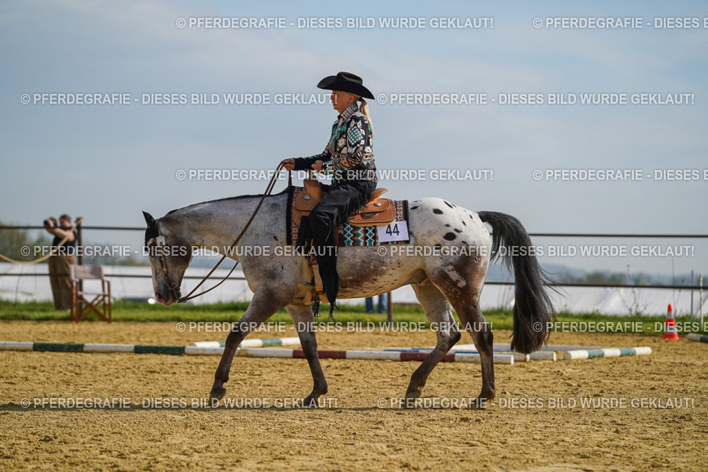 DSC01469 | Pferdegrafie