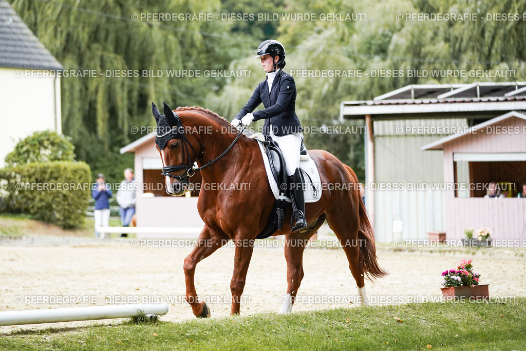 DSC00481 | Pferdegrafie