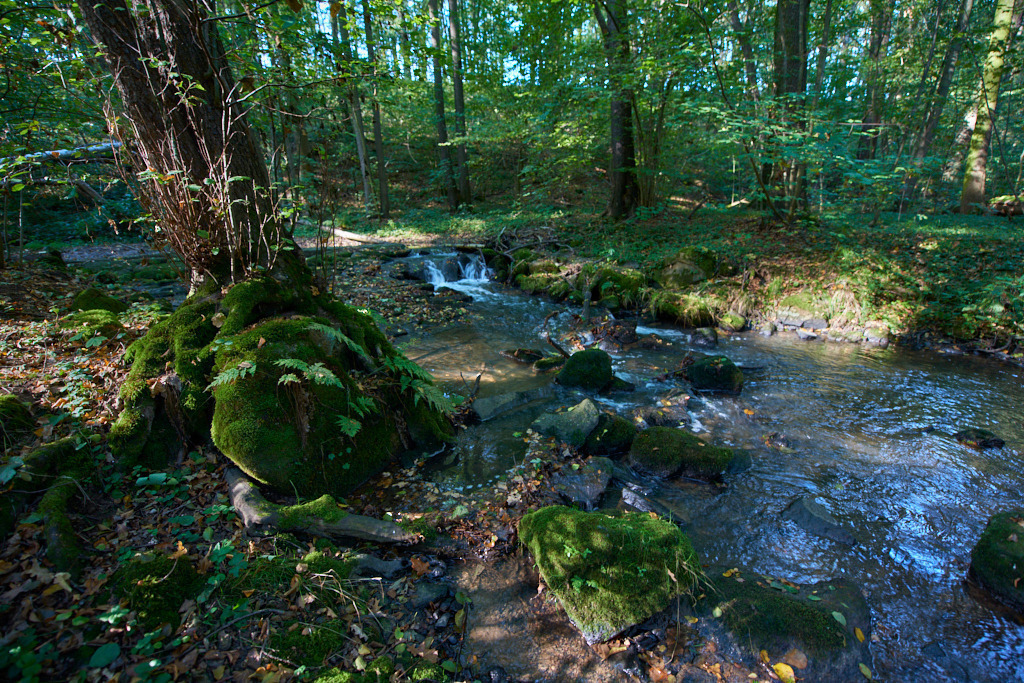 In der Neustädtler Skala 07 | Bedeutsame Landschaften Deutschlands - Realisiert mit Pictrs.com