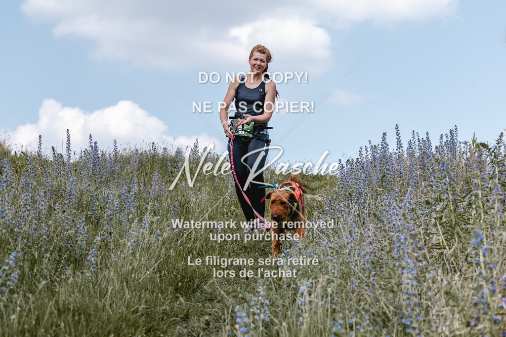 BUHU_CC_006 | nelerasche