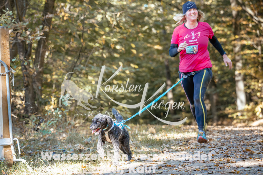 1206_ZZ94302 | kk-dogfotos